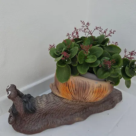 아파트 Casa Layka, Con Maravillosas Vistas Al Mar