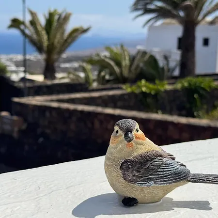 Casa Layka, Con Maravillosas Vistas Al Mar La Asomada (Lanzarote)