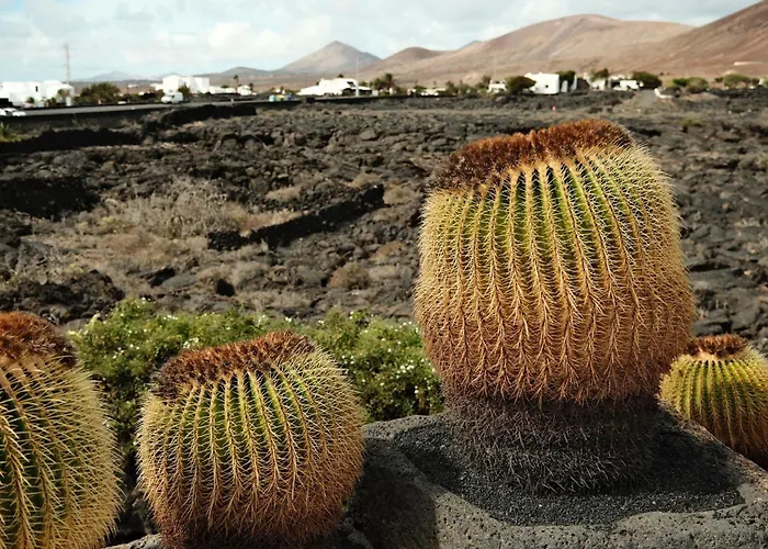 Casa Layka, Con Maravillosas Vistas Al Mar דירה La Asomada (Lanzarote)