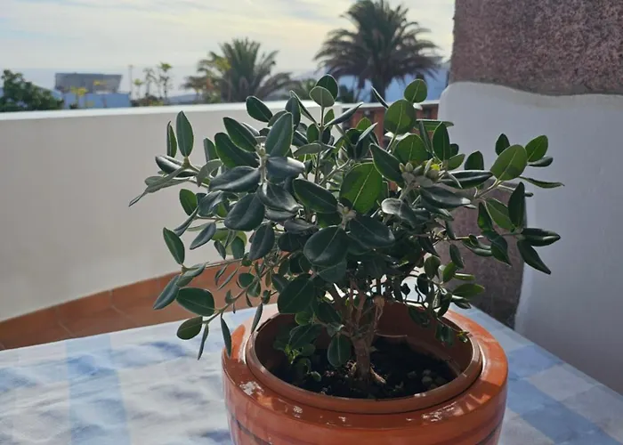 Casa Layka, Con Maravillosas Vistas Al Mar *