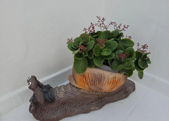 Lejlighed Casa Layka, Con Maravillosas Vistas Al Mar