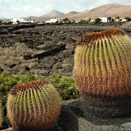 Casa Layka, Con Maravillosas Vistas Al Mar Διαμέρισμα La Asomada (Lanzarote)